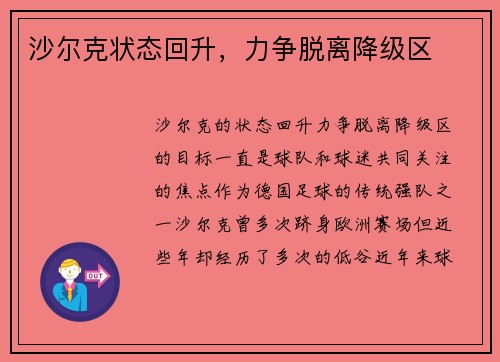 沙尔克状态回升，力争脱离降级区